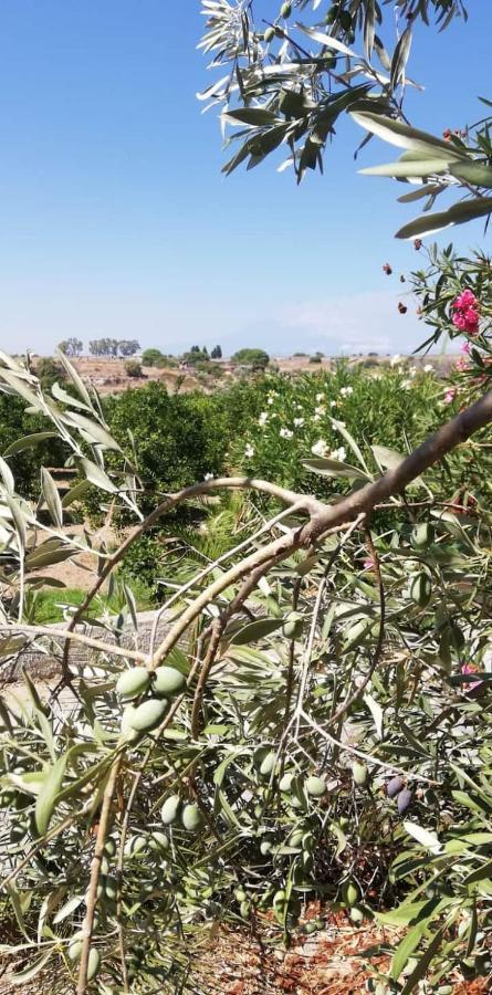 Piccolo Podere Διαμέρισμα Melilli Εξωτερικό φωτογραφία
