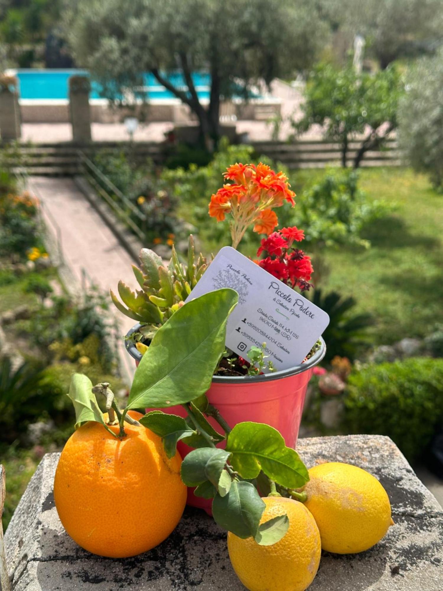 Piccolo Podere Διαμέρισμα Melilli Εξωτερικό φωτογραφία